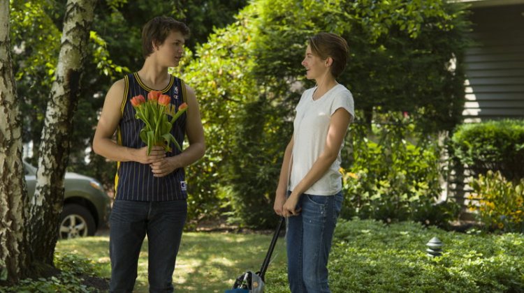 3ebfcf3edfecf7892c634677c6c118cc