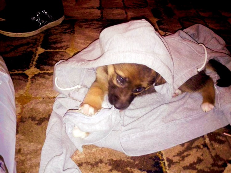 11046523_827858700585391_1979493719721211284_n